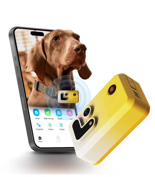 Pet Smart Tracker
