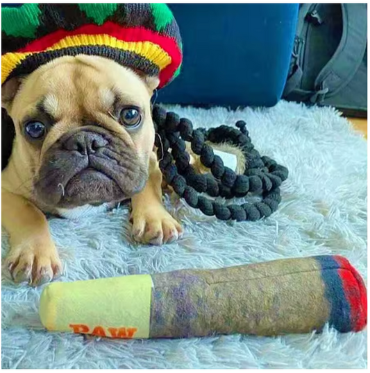 Plush Dog Toys -Interactive chew toy -